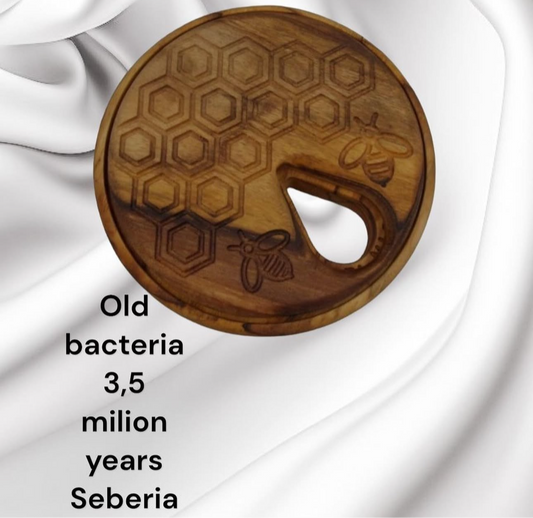 White course bacteria (pure) 💎